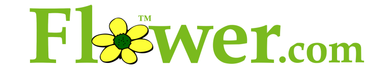 Flower.coml logo scaled 768x138